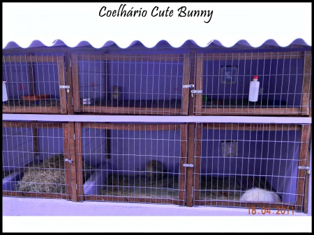 Nosso Coelhário possui 5,00 metros de comprimento e 1,00 m de largura.